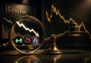 Bitwise: HYPE, UNI ve AAVE Değeri Düşük Fiyatlanıyor mu? Kriptoda Yeni Değerleme Dönemi